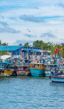 Aerial view of surfers near Hikkaduwa beach. Hikkaduwa, Sri Lanka.