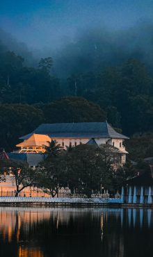 33aa1cbf6efc9a3a24d92eb252918133f52343dd