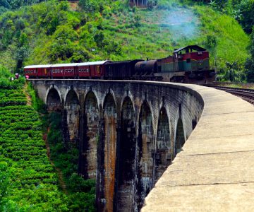 36c6ff9c57e597db3889fd22dfcdc7fd3274295e