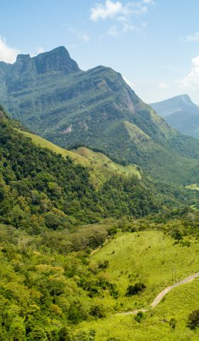 f61a888183795d0d431f3753295243f012b6a6d4